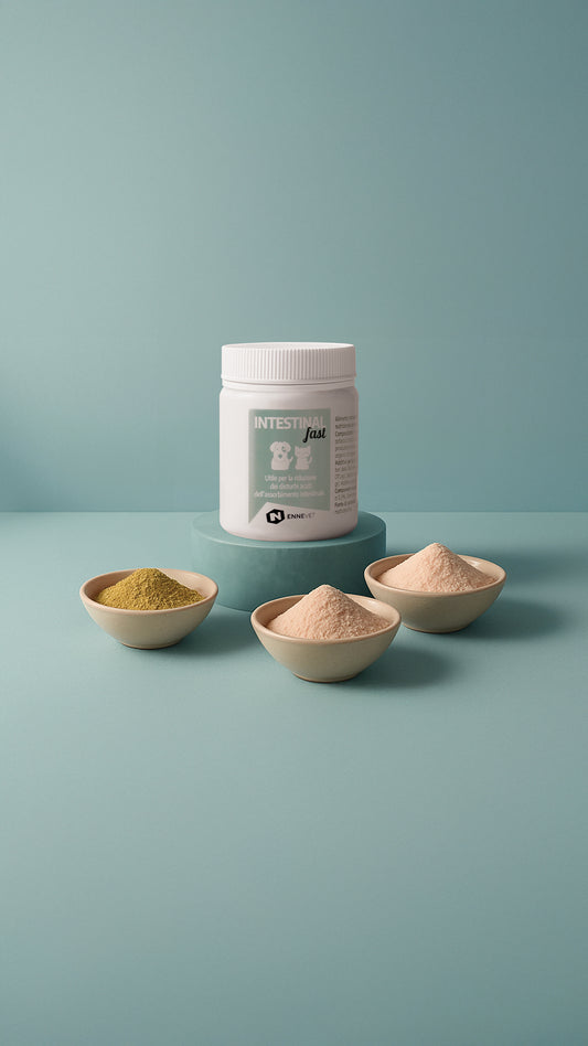 INTESTINALfast