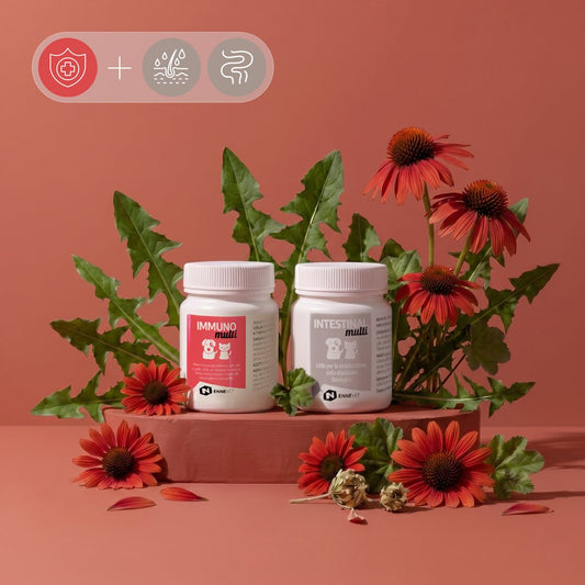 Asse Cute–Intestino–Difese Duo | Equilibrio intestinale e supporto immunitario