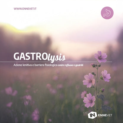 GASTROlysis