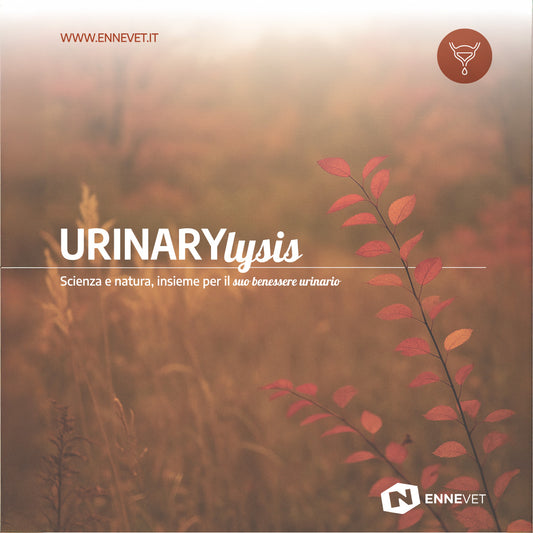 Urinary Total Care Trio | Supporto completo: vie urinarie, intestino e difese