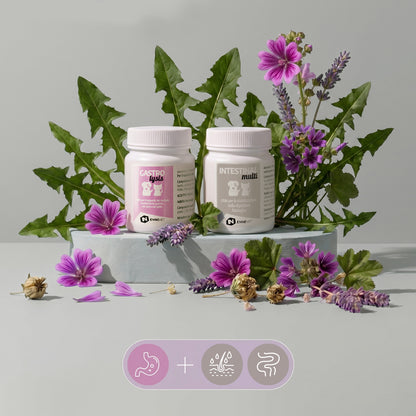Digestione Equilibrata Duo | Routine digestiva per cane e gatto