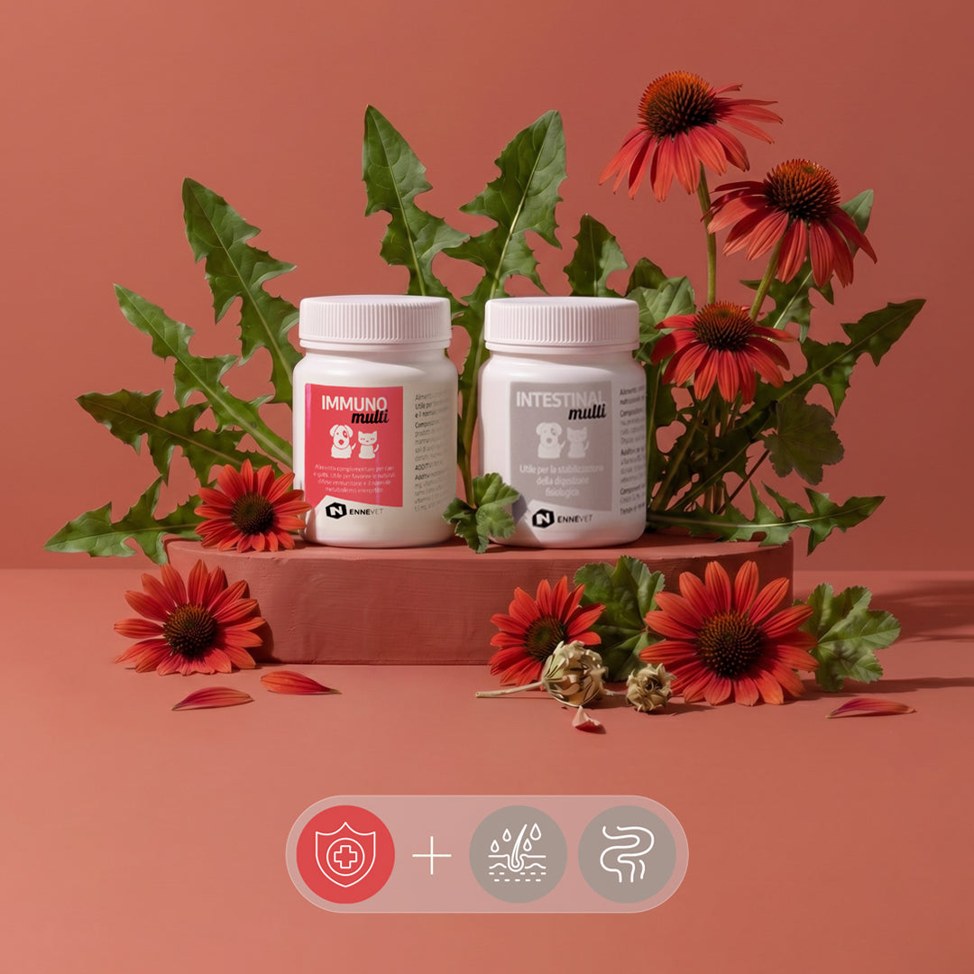 Asse Cute–Intestino–Difese Duo | Equilibrio intestinale e supporto immunitario